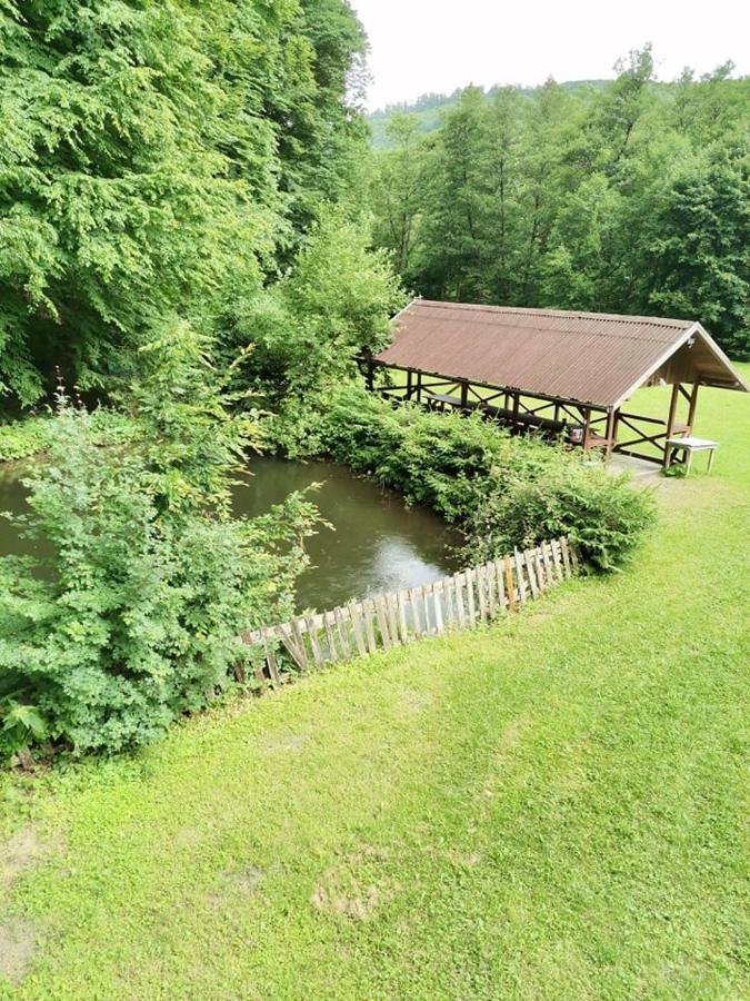 Hotel Fontana Erdelyi Vendeghaz 2 Satu Mare  Zewnętrze zdjęcie