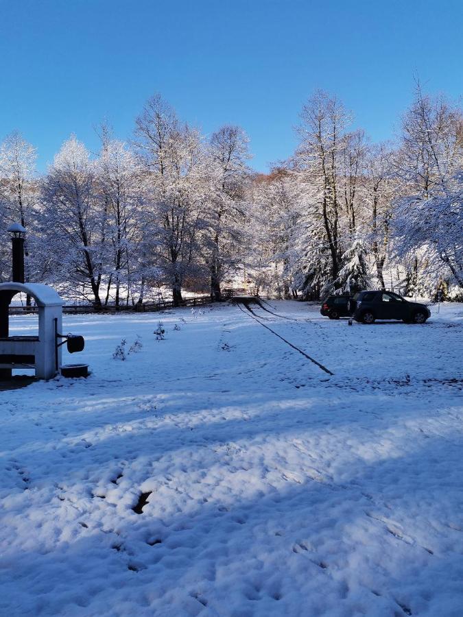 Hotel Fontana Erdelyi Vendeghaz 2 Satu Mare  Zewnętrze zdjęcie